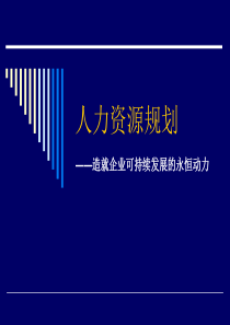 人力资源规划造就企业可持续发展的永恒动力