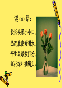 美丽的花瓶