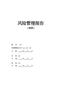 风险管理报告举例(DOC18)(1)