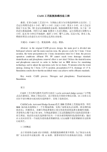 CASS工艺脱氮除磷改造工程