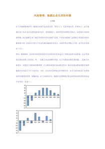 风险管理能源企业生存的利器(1)