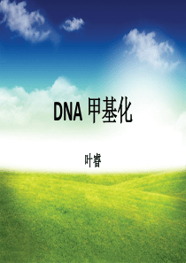 DNA-甲基化