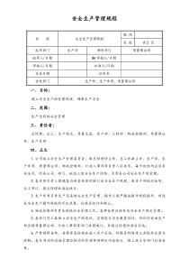 06实例XX公司安全生产管理规程