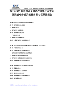 2019-2025年中国及全球蒸汽眼罩行业市场发展战略分析及投资前景专项预测报告