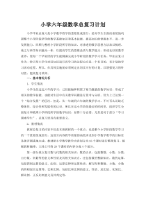 小学六年级数学总复习计划(西师版)