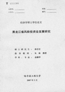 黑龙江省风险投资业发展研究