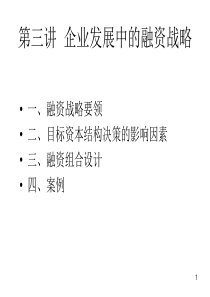 企业发展中的融资战略2教学课件