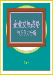 企业发展战略与竞争力分析