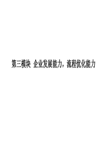 企业发展能力