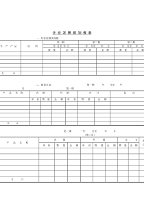 企业发展规划报表