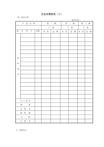 企业发展规划（二）