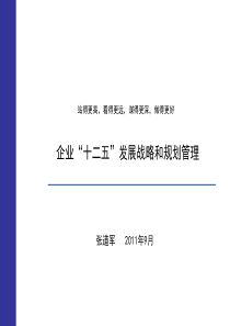 企业“十二五”发展战略和规划管理(张道军)