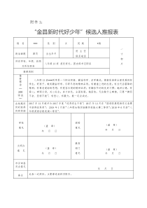 新时代好少年推荐表