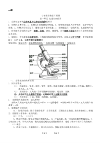 苏科版七年级上册生物复习提纲