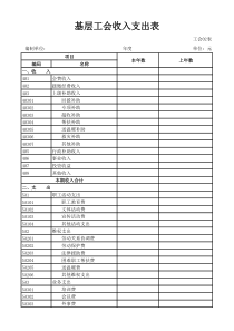 基层工会收入支出表