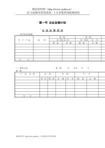 企业管理表格-企业发展规划