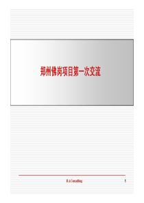 伟业顾问_郑州佛岗项目发展战略与物业建议报告_95页