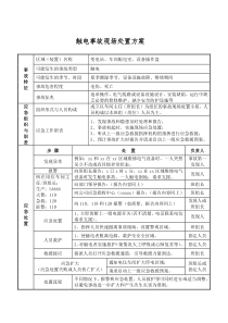 现场处置方案.样本