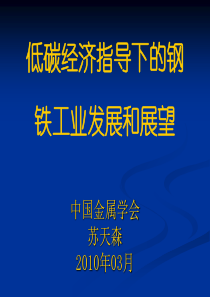 低碳经济指导下的钢铁工业发展和展望