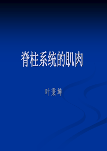 与脊柱相关的肌肉和筋膜