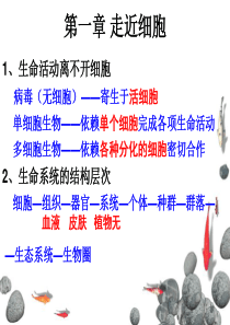 高中生物总复习课件