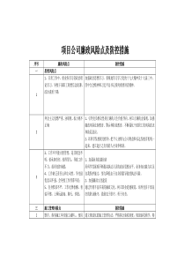 项目公司廉政风险点及防范措施