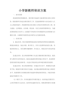 小学新教师培训方案