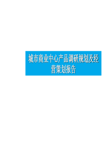 临沂城市商业中心产品调研规划及经营策划报1458527181