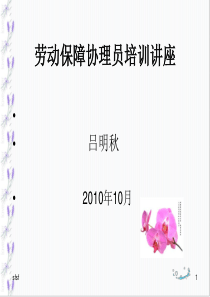 劳动保障协理员培训课件(四级)10样版