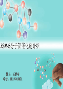 ZSM-5沸石分子筛研究课件