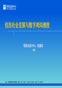 信息社会发展与数字鸿沟测度-张新红