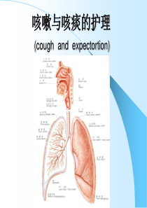 咳嗽与咳痰的护理ppt课件
