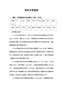 成本分析报告