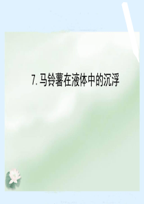 五下1.7《马铃薯在液体中的沉浮》