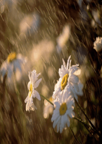 梅雨时节