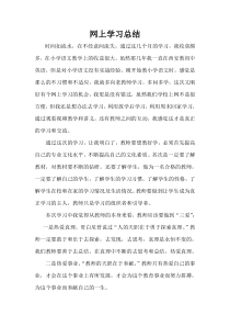 小学语文网上学习总结