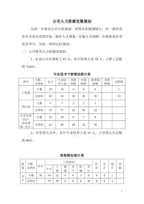 公司人力资源发展规划