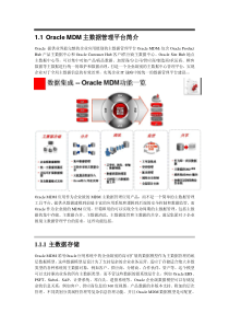 Oracle-MDM主数据管理平台简介