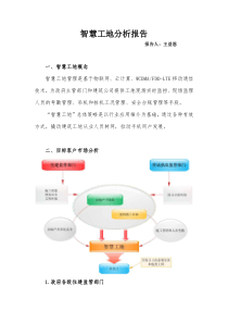 智慧工地分析报告