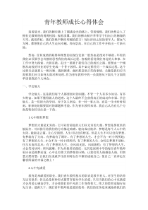 青年教师成长心得体会