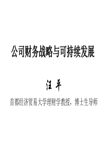 公司财务战略与可持续发展