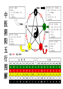 中医阴阳五行图解