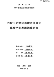 六枝工矿集团有限责任公司煤炭产业发展战略研究