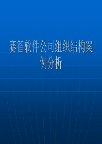 赛智软件公司组织结构案例分析