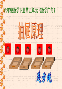 抽屉原理PPT课件