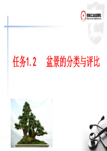 盆景制作与养护(南方本)