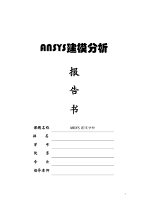 ANSYS分析报告