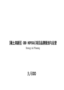 内蒙古包头稀土高新区项目发展战略规划设计与运营提案_117页