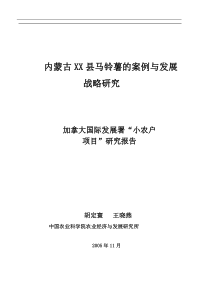 内蒙古XX县马铃薯的案例与发展战略研究(1)