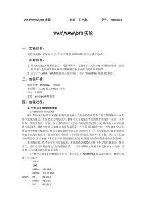 《计算机体系结构》第五次实验-WARWAWBTB实验